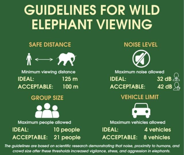 Our paper has just been published in Ecology and Evolution!  We’re excited to share our latest research, led by PhD researcher @thewildlifelady Brooke Friswold, on how wildlife tourism affects wild Asian elephant behaviour, and what sustainable, ethical viewing looks like in practice. In Kuiburi National Park, we followed wild elephants over three years, including periods of park closure, to understand how vehicles, people, distance, and noise shape elephant responses.  🔍 What we found  More vehicles, people, closer distances, and higher noise increase stress, vigilance, and avoidance. Reduced affiliative (social) behaviour is the most sensitive early warning sign of disturbance, while cow–calf groups are especially vulnerable.  Clear behavioural thresholds define ideal and acceptable tourism conditions: viewing distances >100 m / 125 m, fewer than 4 / 8 vehicles, fewer than 10 / 21 people, and noise levels below 32 / 42 dB. Beyond these thresholds, negative behavioural responses increased significantly.  These findings offer a practical, scalable model for park managers and policymakers, supporting wildlife observation tourism that protects elephant welfare while sustaining conservation and livelihoods.  Huge thanks to the full research team, the support team at KMUTT University, the Department of National Parks, Wildlife and Plant Conservation, and the rangers and community members who make long-term research like this possible 🐘🌱  👉 Link to the full open-access paper in the comments.