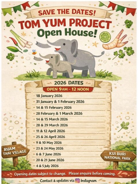 The Tom Yum Project Open House 2026 schedule is here 🐘🌿  We open our doors every fortnight,
inviting you to learn in the heart of nature.
Discover elephant-friendly plants
and stories of coexistence between people, communities, and nature.  Learn about the process behind Tom Yum Project products,
explore eco-friendly products,
hear the stories behind the Tom Yum Project,
and enjoy a simple yet meaningful morning.  🕘 9:00 AM – 12:00 PM
📍 Ruam Thai Village
🎟️ Free entry  See you at our Open House 💚🐘  Email us at tomyumproject@bteh.org for more information!  อัปเดตตารางเปิดบ้าน Tom Yum Project Open House 2026 มาแล้ว 🐘🌿  เปิดบ้านทุกสองสัปดาห์
ชวนทุกคนมาเรียนรู้ท่ามกลางธรรมชาติ ทำความเข้าใจเรื่อง พืชที่เป็นมิตรต่อช้างป่า และเรื่องราวของการอยู่ร่วมกันระหว่างคน ชุมชน และธรรมชาติ  ร่วมเรียนรู้ กระบวนการทำผลิตภัณฑ์ของโครงการต้มยำ
ดู ผลิตภัณฑ์ที่เป็นมิตรต่อสิ่งแวดล้อม
ฟังเรื่องเล่าของต้มยำโปรเจค
และใช้เวลาช่วงเช้าอย่างเรียบง่าย แต่มีความหมาย  🕘 09.00–12.00 น.
📍 หมู่บ้านรวมไทย
🎟️ เข้าร่วมฟรี  เจอกันในวันเปิดบ้านนะคะ 💚🐘
ส่งอีเมลถึงเราได้ที่ tomyumproject@bteh.org
 เพื่อขอข้อมูลเพิ่มเติม!