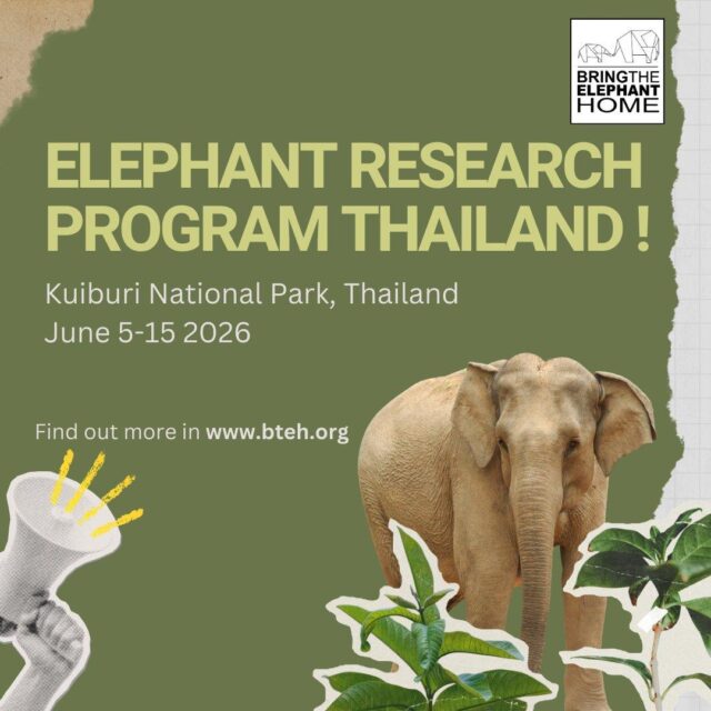 Join us June 5–15, 2026 at our BTEH Field Station in Kuiburi National Park, Thailand, for a hands-on Elephant Research Experience.  🔎 Track and identify wild Asian elephants
📸 Analyse camera trap footage
🧠 Contribute to our elephant ID system
🤝 Work alongside researchers and local communities
🌱 Support community-led coexistence initiatives  You’ll spend your days in the field and at our field station, learning how research, ethics, and community collaboration come together to protect elephants and transform human–elephant conflict into coexistence.  💚 Limited spots available
Apply now: https://bteh.org/asia/elephant-research-experience-thailand/  #ElephantResearch
#AsianElephants
#HumanElephantCoexistence
#ConservationInAction