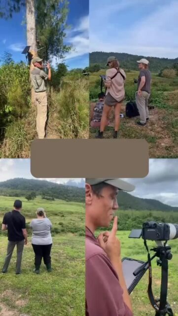 Study wild elephants in Thailand with us! 🐘🌿📝 Join our field research program in Kuiburi National Park, where participants work alongside and contribute to elephant scientists studying: • Elephant behaviour and social dynamics
• Individual elephant identification
• Human-elephant coexistence
• Wildlife monitoring and conservation science You’ll gain hands-on experience and knowledge contributing to real conservation research in the field while learning directly from researchers studying elephant ecology, behaviour, and coexistence. No scientific background is required.
This program is open to people from all fields and levels of experience - from students and professionals to anyone passionate about wildlife and conservation! Only a small number of spaces remain so apply now. 📩 Comment “THAILAND” to receive the program guide
📅 Or DM us to book a 15-minute call with a researcher to learn more! #elephants #wildlife #thailand #conservation #research