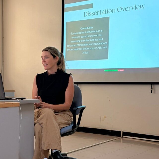 Congratulations to soon-to-be Dr Friswold on the successful defense of her PhD dissertation: “Elephant Behaviour as Empirical Evidence for Management Interventions” at King Mongkut’s University of Technology Thonburi.  Brooke’s research integrated behavioural observations, GPS movement analyses, physiological stress indicators, and ecological monitoring across elephant landscapes in Thailand and South Africa. Her findings showed how elephant behaviour can provide powerful empirical evidence to evaluate management interventions such as wildlife tourism regulation, habitat enhancements, refugia, fence removal, and range expansion.  Many thanks to all collaborators, field assistants, reserve management, rangers, volunteers, vets, and partner organisations who contributed to this work over the years.  #ElephantConservation #ElephantResearch #WildlifeConservation #ConservationScience #HumanElephantCoexistence #WildlifeManagement #AnimalBehaviour #Ethology #AsianElephants #AfricanElephants #WomenInScience #PhDDefense