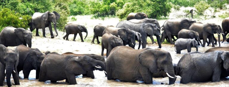 header pic1 – Copy