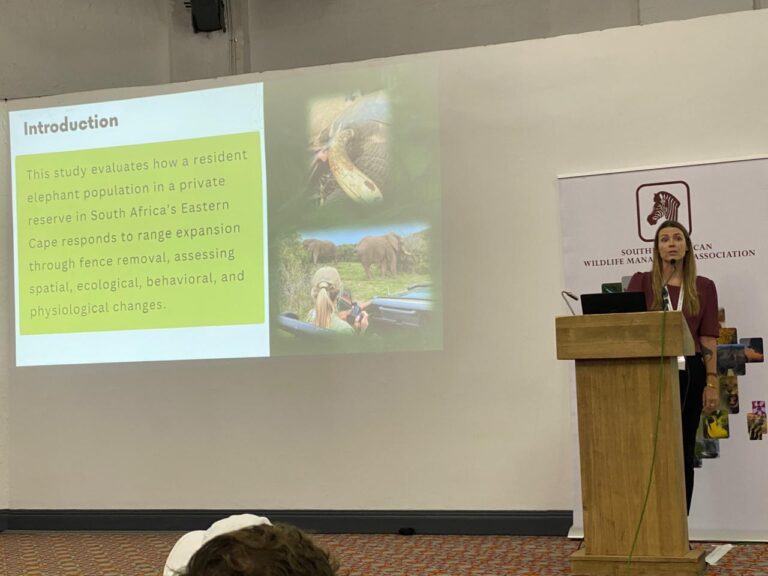 WhatsApp Image 2025-09-03 at 12.20.14 (1)