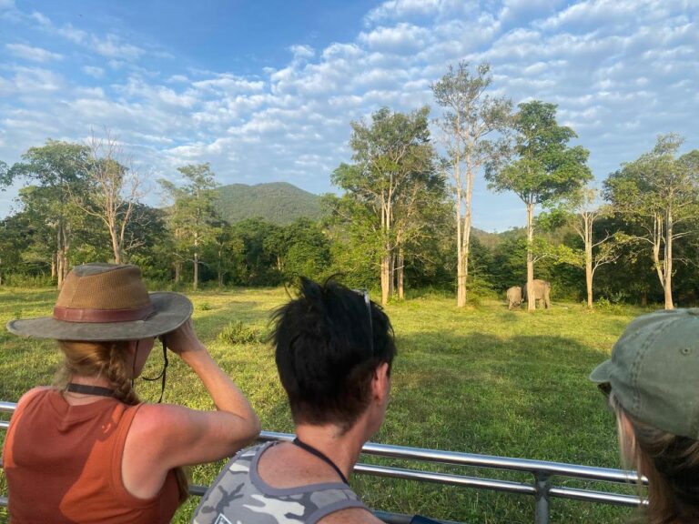 ElephantResearchExperienceThailand3